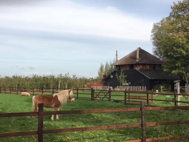 De Steltenberg In De Betuwe Zoelen Exteriör bild